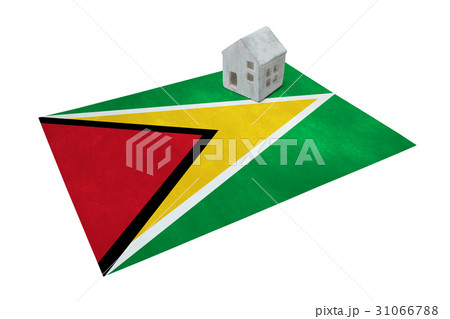 Small house on a flag - Guyana 31066788