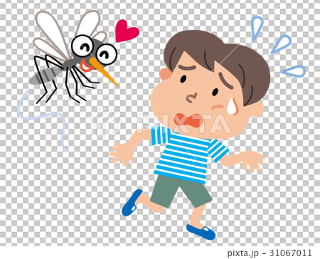 Mosquito child illustration 31067011