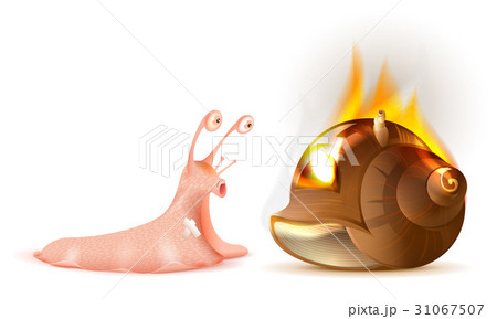 Property Insurance Conch Shell Snail Fireのイラスト素材
