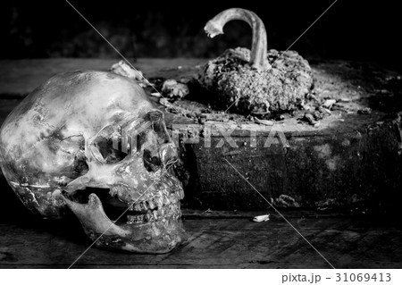 Still life black and white human skulls on wood Still life black and white human skulls on wood 31069413