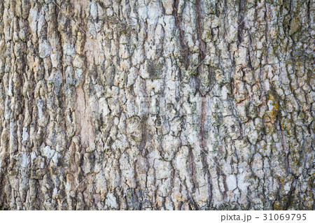 Old wooden wall background Old wooden wall background 31069795