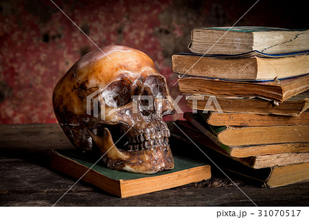 Still Life with a Skull and book on wooden table Still Life with a Skull and book on wooden table 31070517