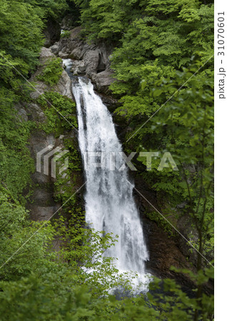 秋保大滝 31070601