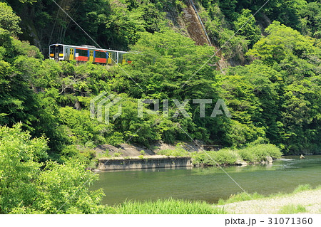 水郡線「山間部の新緑」 水郡線「山間部の新緑」 31071360