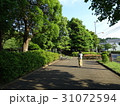 公園の中を歩く女性 31072594