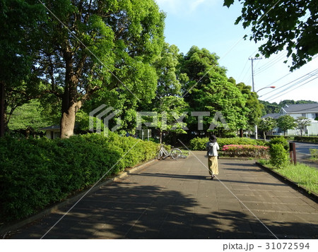 公園の中を歩く女性 31072594