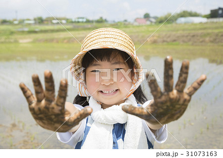 田植え　農業体験イメージ 31073163