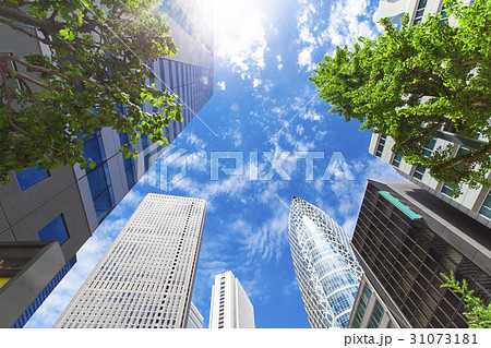 オフィス街の高層ビルと緑 31073181
