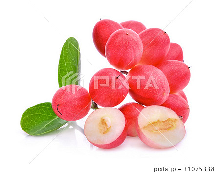 karanda or carunda tropical fruit isolated karanda or carunda tropical fruit isolated 31075338