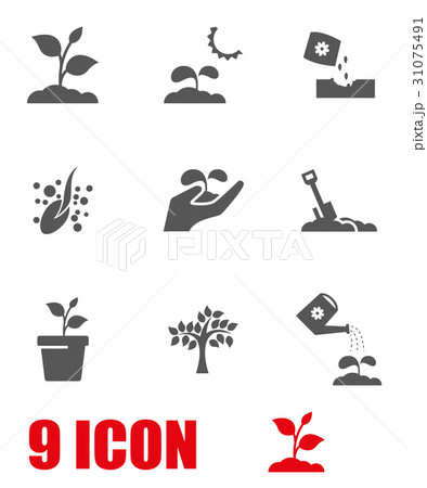 Vector grey growing icon set Vector grey growing icon set 31075491