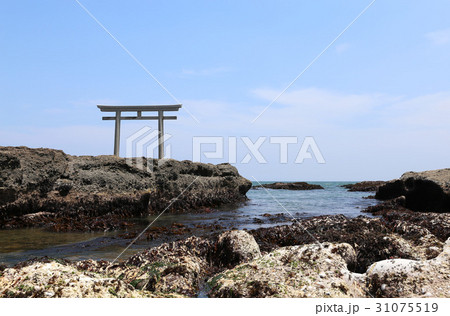 大洗海岸の引き潮 31075519