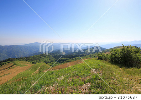 愛媛県四国中央市　塩塚高原　塩塚峰からの風景 31075637