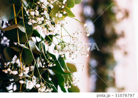 Tiny daisies put in a green wreath hanging 31076797