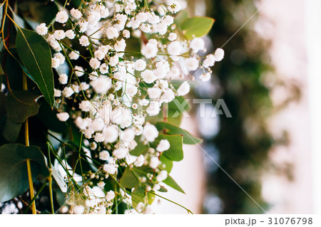 Tiny daisies put in a green wreath hanging Tiny daisies put in a green wreath hanging 31076798