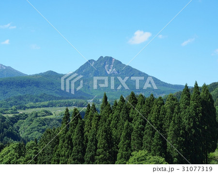 内海乢から見る初夏の烏ヶ山 烏ヶ山 大山 内海乢から見る初夏の烏ヶ山 烏ヶ山 大山 31077319