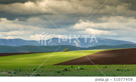 Storm over spring agricultural fields Storm over spring agricultural fields 31077459