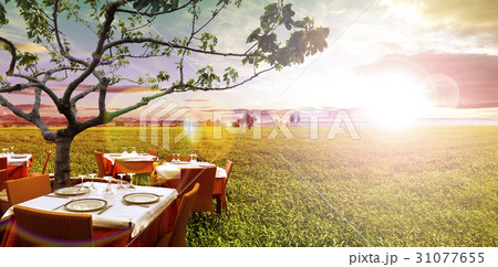 Travel and restaurant concept.Gastronomy 31077655