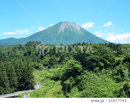 小林大橋から望む初夏の大山　西真正面から望む大山　大山 31077741