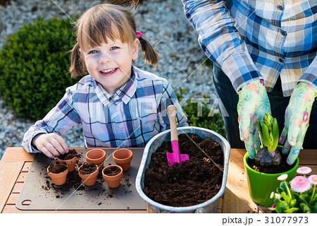 Girl planting flower bulbs Girl planting flower bulbs 31077973