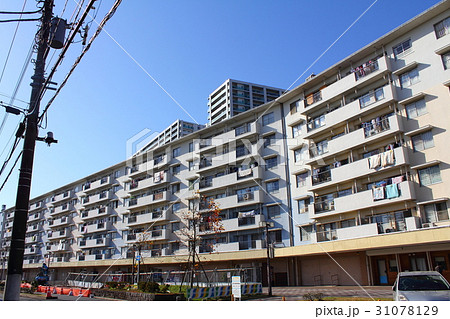 若松団地 31078129