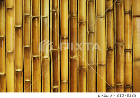 bamboo wall cut in half 31078338