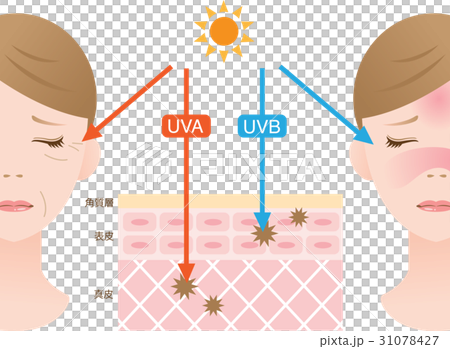 紫外線 紫外線 31078427