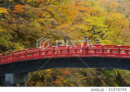 nikko in autumn time with the night weather nikko in autumn time with the night weather 31078740