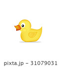 Yellow duck Vector 31079031