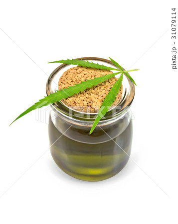 Oil hemp in glass jar with leaf on lid 31079114