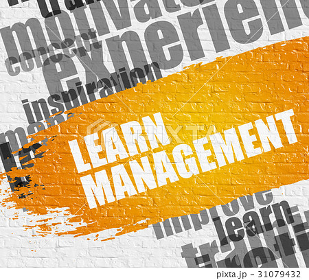 Learn Management on White Wall. Learn Management on White Wall. 31079432