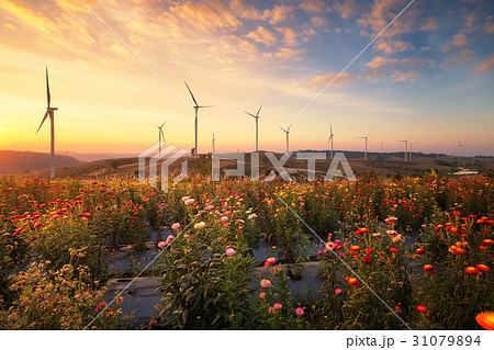 Windmills for electric power production  31079894