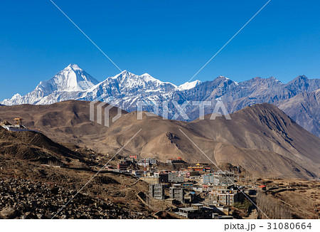 Muktinath village with Dhaulagiri 31080664
