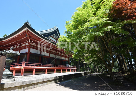 比叡山　延暦寺の新緑 31080710