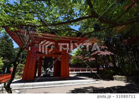 比叡山　延暦寺の新緑 31080711