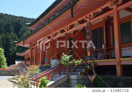 比叡山　延暦寺の新緑 31080718