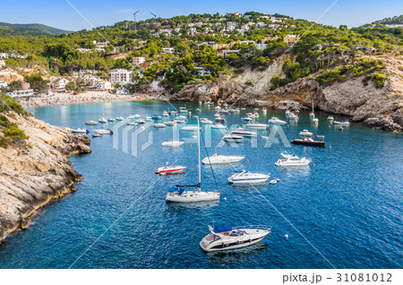 Es vedra island of Ibiza  Cala d Hort in Balearic  31081012