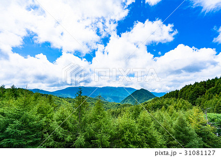 長野県 山の自然風景 夏 の写真素材