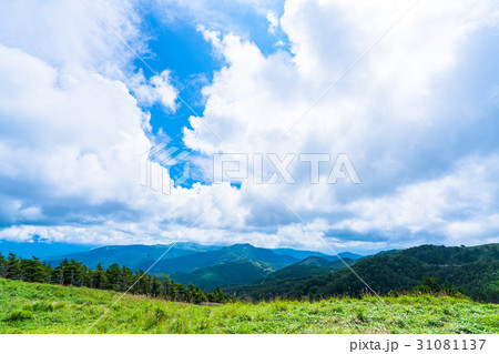 長野県 山の自然風景 夏 の写真素材