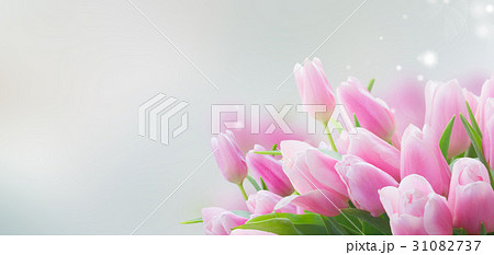 bouquet of yellow, purple and red tulips 31082737