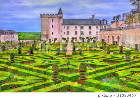 Chateau de Villandry with its garden - the Loire 31083457