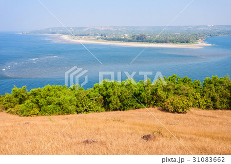 Beach in Goa, India 31083662