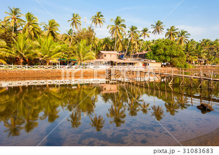 Mandrem beach Goa India 31083683
