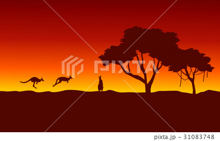 At sunrise kangaroo scenery silhouettes 31083748