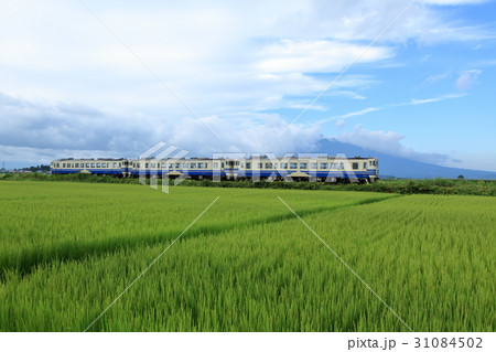 田園を行く五能線 田園を行く五能線 31084502