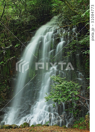 宮崎県都農町瀧神社不動滝 31084773