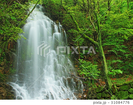 宮崎県都農町瀧神社不動滝 31084776