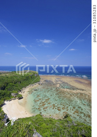 果報バンタ 31085283