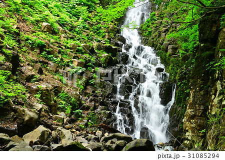 大尾不動滝 大尾不動滝 31085294