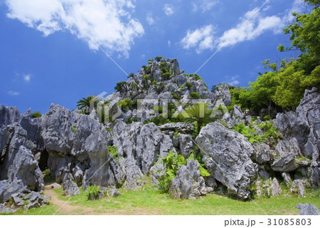 大石林山〜悟空岩 31085803