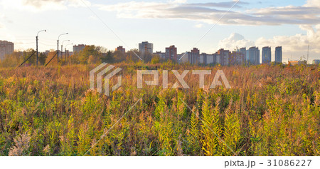 The field and the outskirts of city at evening. 31086227